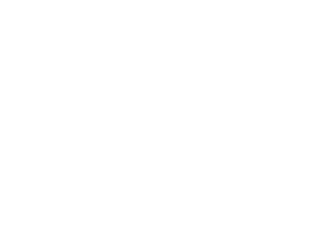 AVEDIP Asociación de diseñadores y publicistas de Venezuela